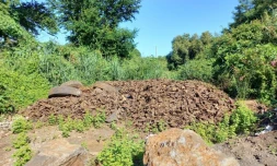 Band Cochon - Makot - Déchets