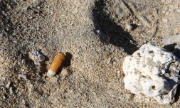 mégot  plage 