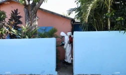 Vendredi 5 avril 2019 - opération de démoustication à la Ravine des Cabris