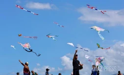 Marmay's en l'air : les cerfs-volants font le show à Saint-Pierre