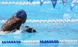 natation 
