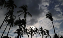 paysages 