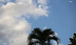 Météo Réunion 