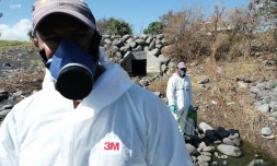 veille sanitaire au Port 