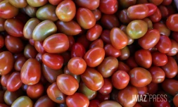 marché forain tomates 