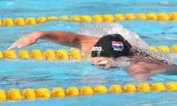 natation 