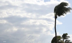 météo réunion 