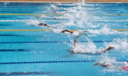 natation 