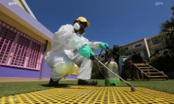 LUTTE CONTRE LE CHIKUNGUNYA