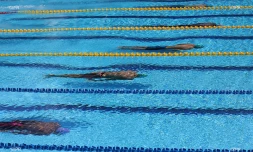 natation qualif 2017