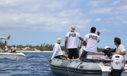 Cap Requins Roches Noires