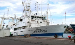 Fin de chantier du langoustier l'Austral