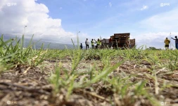 Cambaie - cabane des gilets jaunes