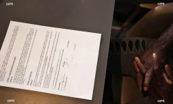 migrants select hotel 