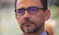 Olivier Hoarau 