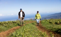 La Ville du Tampon s'engage en faveur de l'agriculture péi [?]