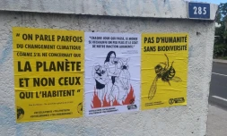 Affiches Extinction Rebellion