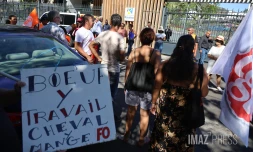 Grève chambre d'agriculture