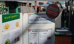 Territoire de l'Ouest : portes ouvertes de la pépiniÚre municipale du Port