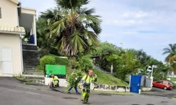 Saint-Paul :  nettoyage des chaussées dans le quartier de Bel-Air et le chemin de la piscine