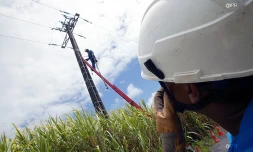 EDF