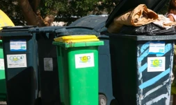 poubelles 