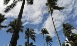 illustrations photos météo réunion