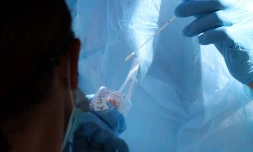 Test Coronavirus 