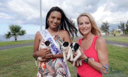 "Adoption et croquette"