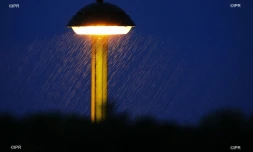 pluie 