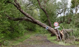 Cyclone Belal : Le Port