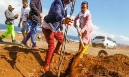 Région Réunion