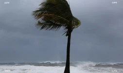 météo réunion 
