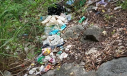 101 dépôts sauvages repérées par Band Cochon cette semaine