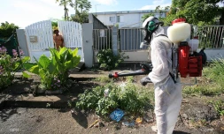 Chikungunya