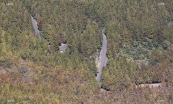 route forestière du volcan 