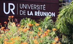 université de la réunion