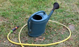 arrosage eau 