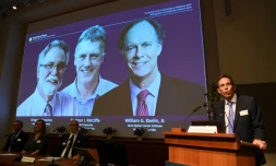 Les photos des vainqueurs du prix Nobel de médecine, les Américains William Kaelin et Gregg Semenza et le Britannique Peter Ratcliffe, le 7 octobre 2019 à l'Institut Karolinska de Stockholm, en SuÚde