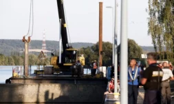 Béluga dans la Seine: l'opération d'extraction a débuté [