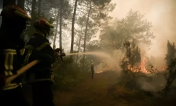 En Gironde, un peu plus de 20.000 hectares de forêts brûlés depuis une semaine
