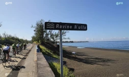 Attaque requin l\'Etang-Salé