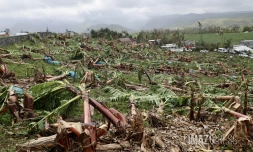 Garance : La Réunion, l'île en phase de sauvegarde
