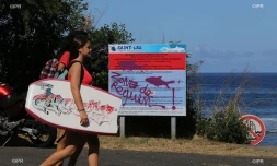 panneaux prévention requins