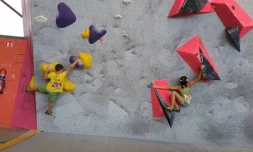 Escalade : championnat france poussins benjamins