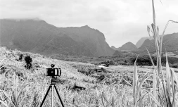 "20 ans de paysage réunionnais" : un livre pour retracer l'évolution de La Réunion face au changement climatique
