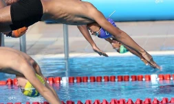 Natation