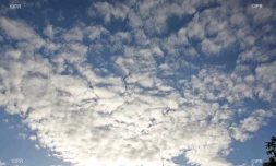 météo réunion 