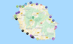 Mammifères marins : un à trois échouages par an à La Réunion 