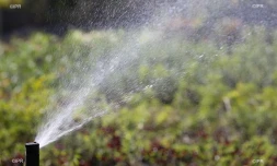 Irrigation champ agricole 